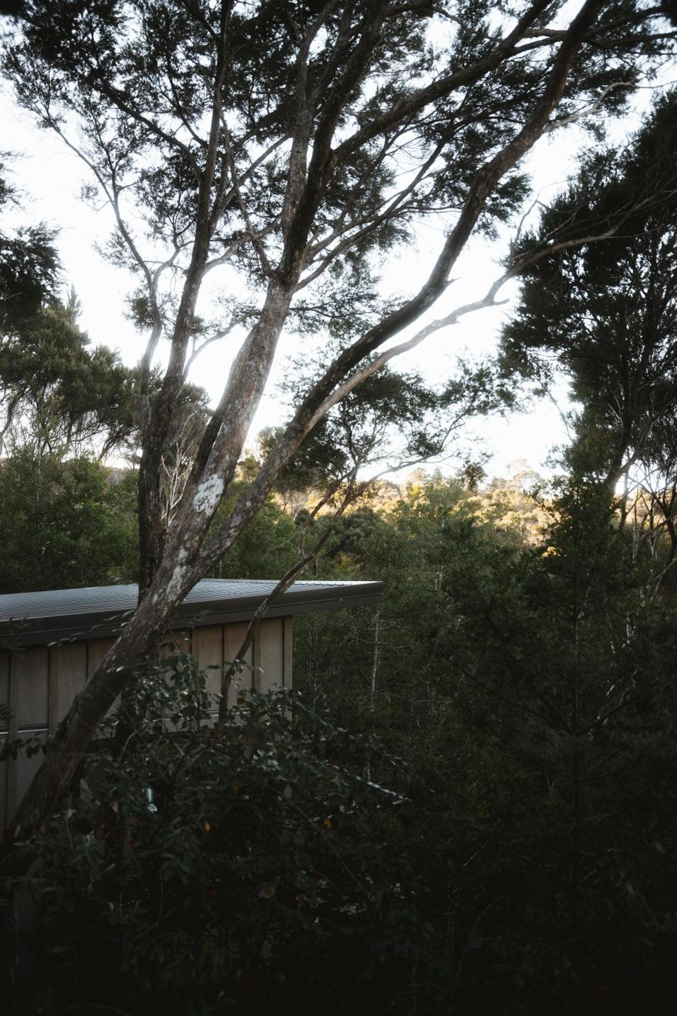 Treehouse Hideaway At Rekindle Tree Houses Opua Kültér fotó